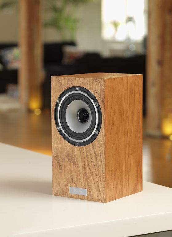 Tannoy revolution deals xt mini