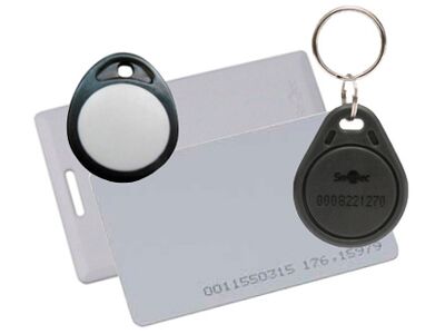 Идентификатор электронного ключа. Идентификатор электронного ключа. Ibutton ds1996. Идентификатор электронного ключа. Болванки для домофонных ключей 7 байтные.